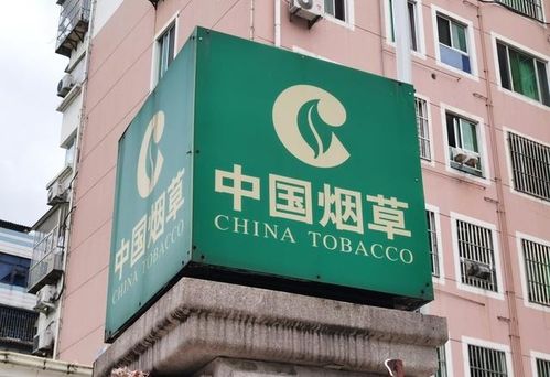 新疆烟草局校招开启 扩招名额，高中起点，专业不限，软件开发岗位吸引贵州学子